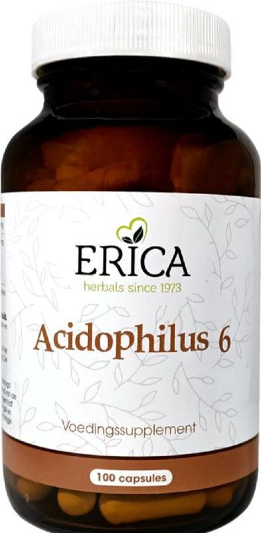 ERICA Acidophilus 6 100 capsule | Gli anziani