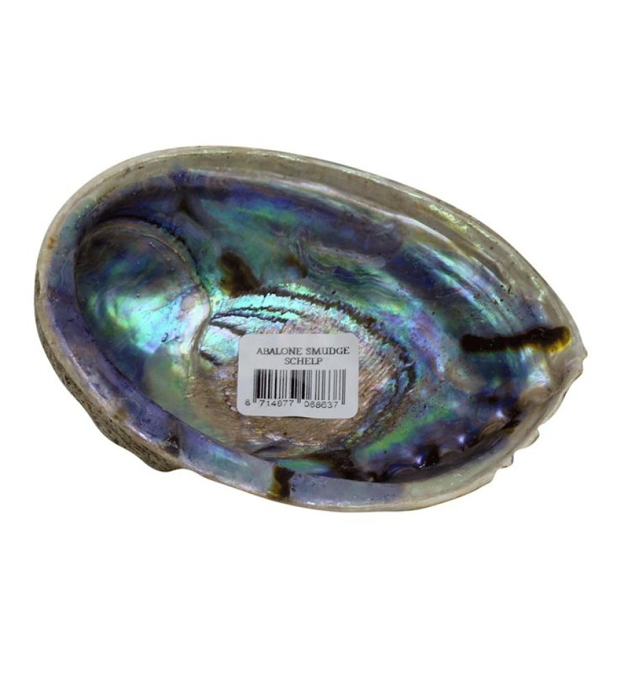 ERICA Abalone Smudge Shell P/St | Incenso