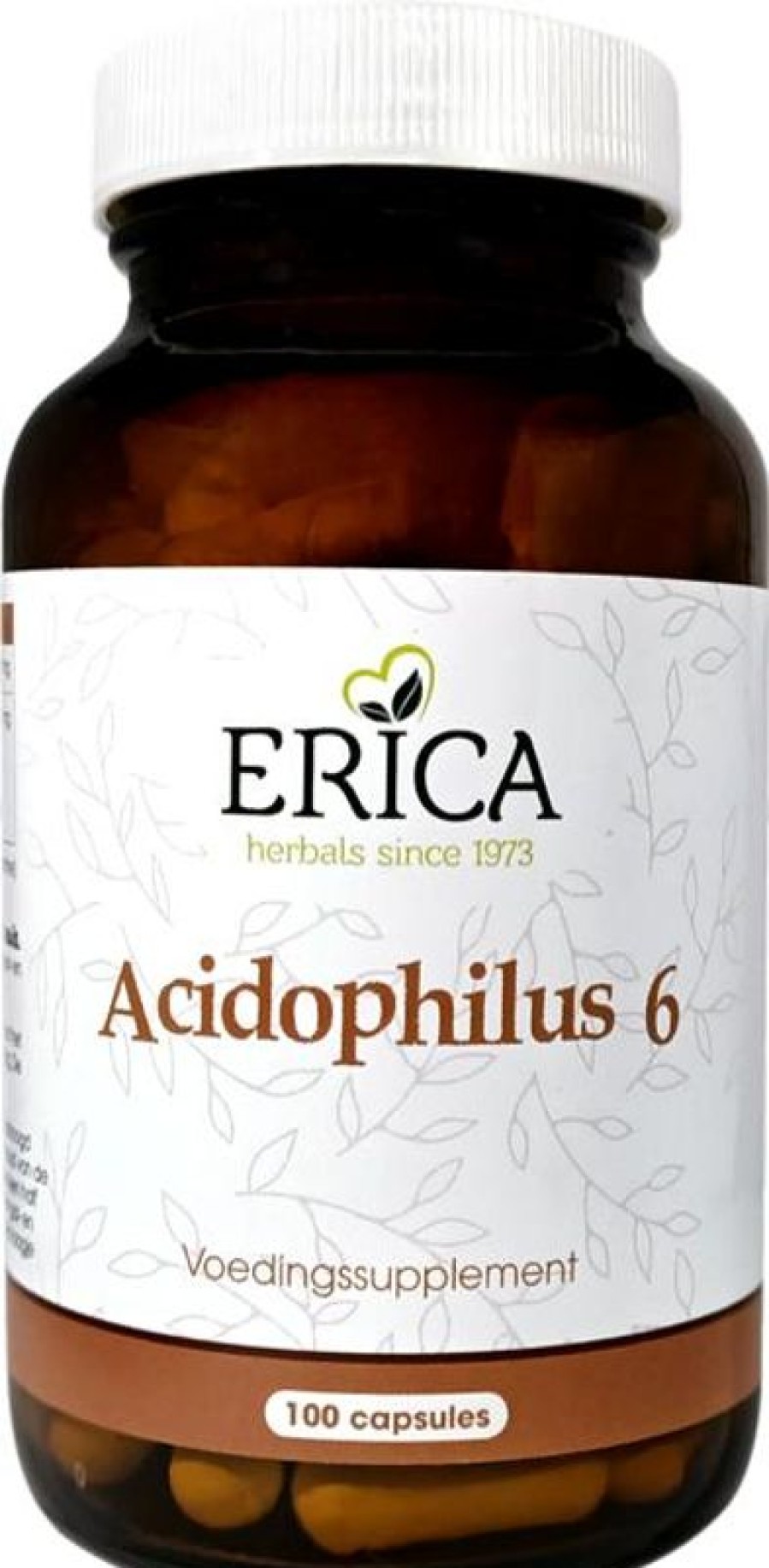 ERICA Acidophilus 6 100 capsule | Gli anziani