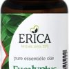 ERICA Olio Di Eucalipto 25 Ml | Oli essenziali