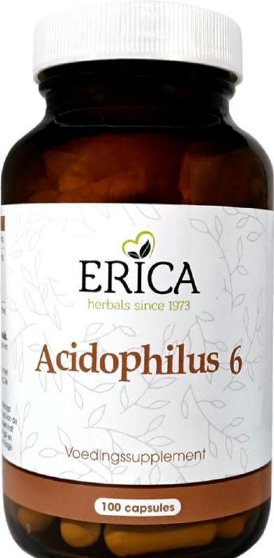 ERICA Acidophilus 6 100 capsule | Resistenza